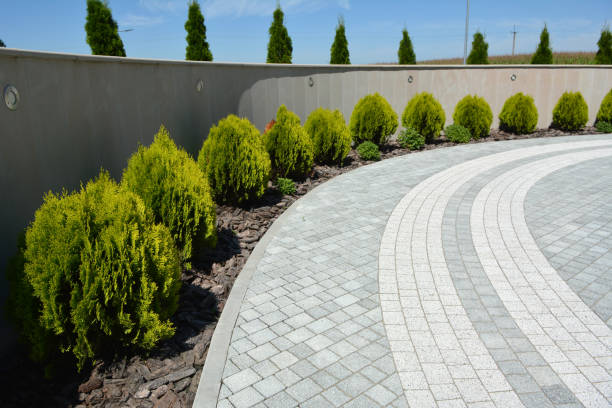 Best Interlocking Driveway Pavers  in Calhoun City, MS